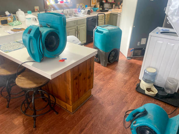 Best Water damage restoration process  in Martin, TN