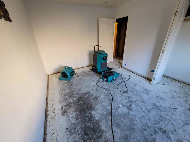 Best Water damage cleanup near me  in Martin, TN