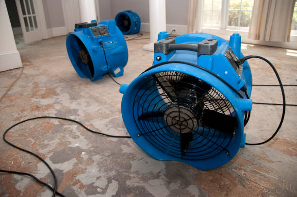 Best Flooded house restoration  in Martin, TN