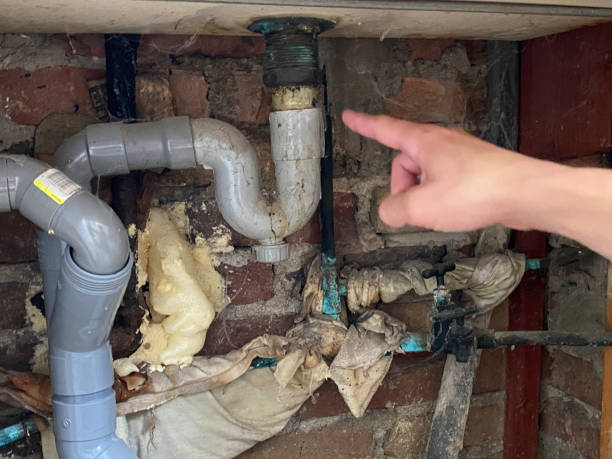 Best Ceiling water damage repair  in Martin, TN