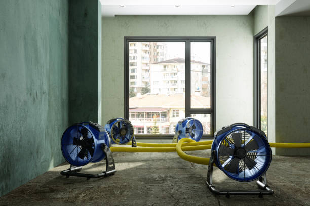 Sewage cleanup and water damage restoration in Martin, TN